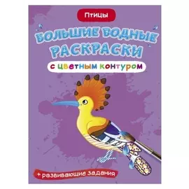 Большие водные раскраски с цветным контуром «Птицы»