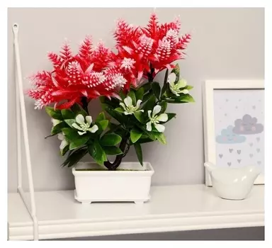 Бонсай "Астильба" 12 см