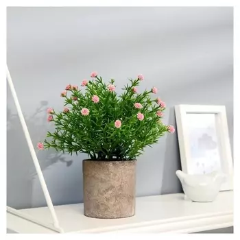 Бонсай "Бархатцы" 8х20 см