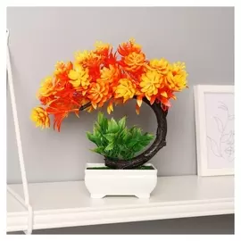 Бонсай "Белое облако" 10х20 см