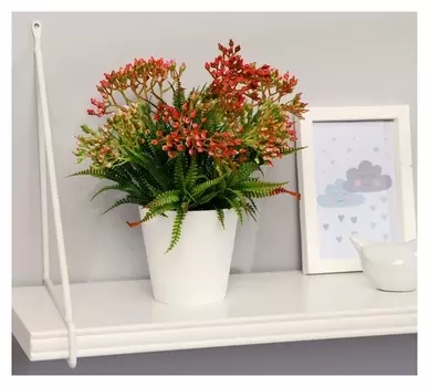 Бонсай "Бессмертник" 9,5х22 см