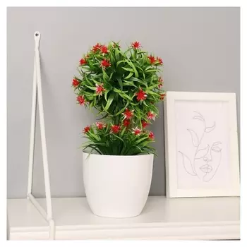 Бонсай "Цветочный восторг" 9х25 см