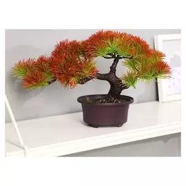 Бонсай "Дендроарт" 12х17 см