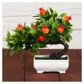 Бонсай "Деревце плодовое" 10х18 см