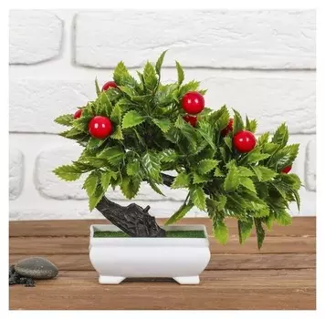 Бонсай "Деревце яблок" 10*17 см