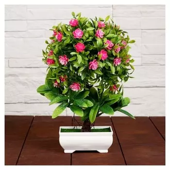 Бонсай "Деревце с мелкими цветами" 10х25 см