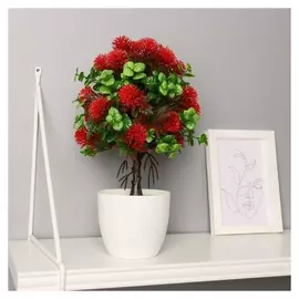 Бонсай "Ежевичник" 9х25 см