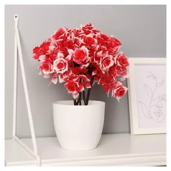 Бонсай "Фиалка" 9х22 см