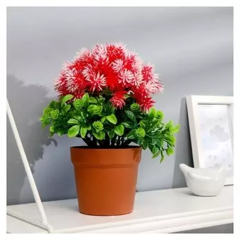 Бонсай "Георгина декоративная" 10х22 см