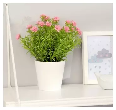 Бонсай "Герань садовая" 9,5х22 см