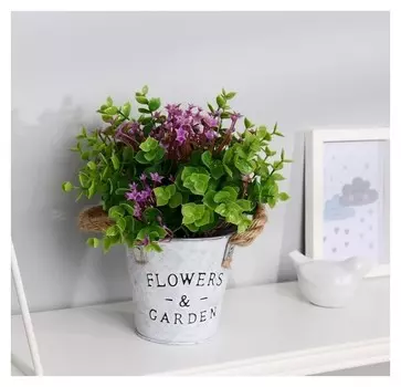 Бонсай "Гипсофила ползучая" 11х22 см