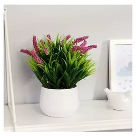 Бонсай "Горец змеиный" 9х20 см