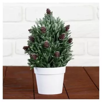 Бонсай "Хвойный куст" 10х24 см