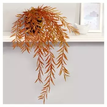 Бонсай "Ива пурпурная" высота растения=50см (Горшок H-8, D-8.5см) см