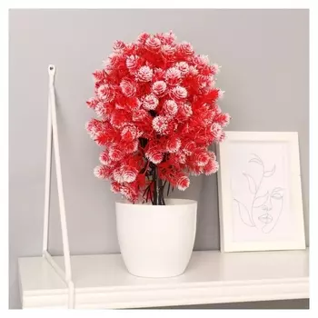 Бонсай "Кабомба" 9х27 см