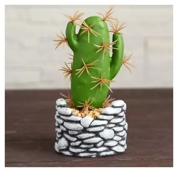 Бонсай "Кактус" Галька 6х13 см