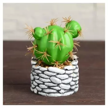 Бонсай "Кактус-шар" Галька 6х9 см