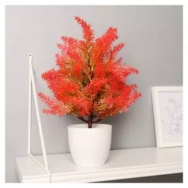 Бонсай "Кипарисовик" 9х30 см