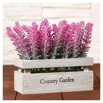 Бонсай "Лаванда в ящичке" 8х16,5х15 см