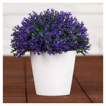 Бонсай "Мелкие цветочки" 8х12 см