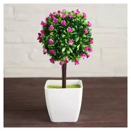 Бонсай "Мелколист с розочками" 7х19 см