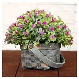 Бонсай "Нежное цветение" 9х13 см