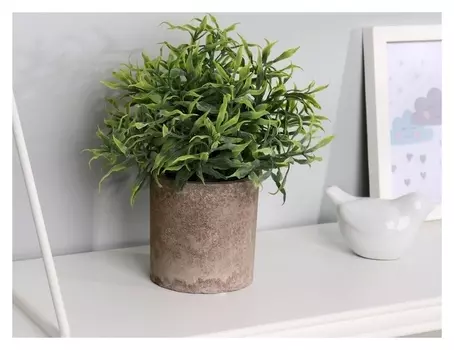 Бонсай "Остролистник" 7,5х21 см