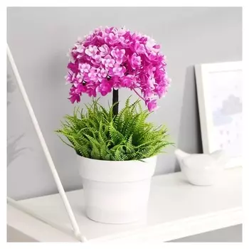 Бонсай "Пеларгония" 11х23 см