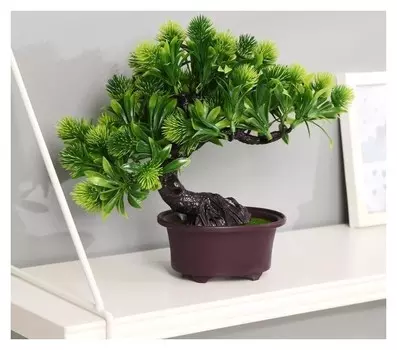 Бонсай "Пушистоцвет" 12х22 см