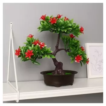 Бонсай "Рододендрон японский" 16х26 см