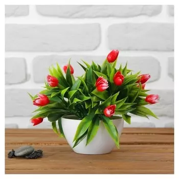 Бонсай с тюльпанами 14х16 см