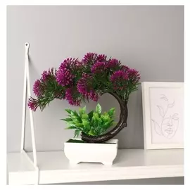 Бонсай "Селагинелла африканская" 10х20 см