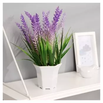 Бонсай "Вереск" 10х18 см