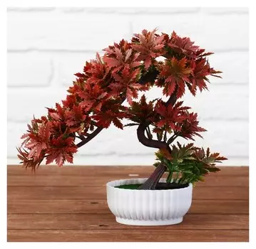 Бонсай в горшке "Деревце остролист" 10х22 см