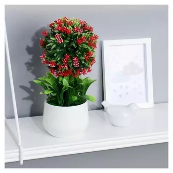 Бонсай в горшке "Дерево желаний" 9х22 см