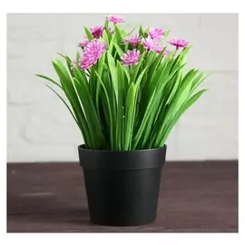 Бонсай в горшке "Гилоцереус" 9х20 см