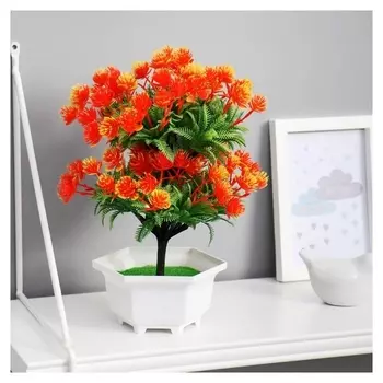 Бонсай в горшке "Каллистефус" 12х23 см