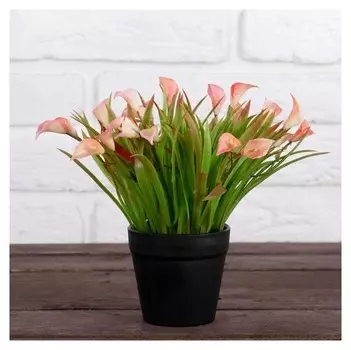 Бонсай в горшке "Каллы" 9х19 см