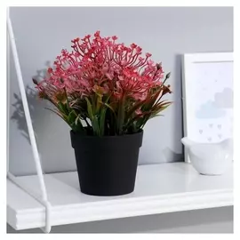 Бонсай в горшке "Мелкоцветье" 9х22 см