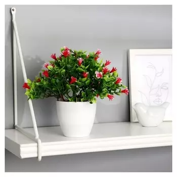 Бонсай в горшке "Примула галант" 17х19 см