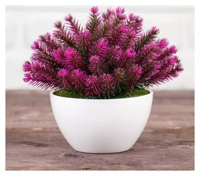 Бонсай в горшке "Пушистики" 11х14 см