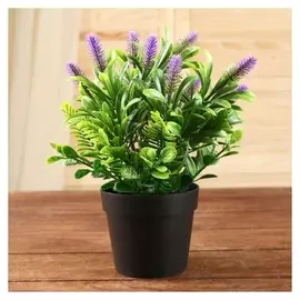 Бонсай в горшке "Станлея" 9х23 см