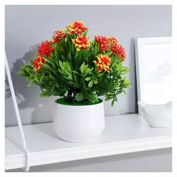 Бонсай в горшке "Вербена" 9х15 см