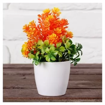 Бонсай в горшочке "Азалия" 6х15 см