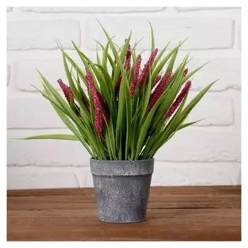 Бонсай в горшочке "Лаванда в траве" 9х23 см