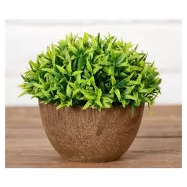 Бонсай в горшочке "Острые листики" 13*11 см