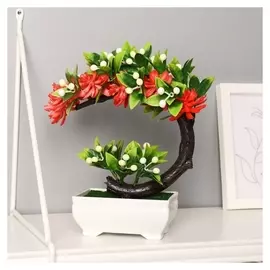 Бонсай "Жасмин" 10х18 см