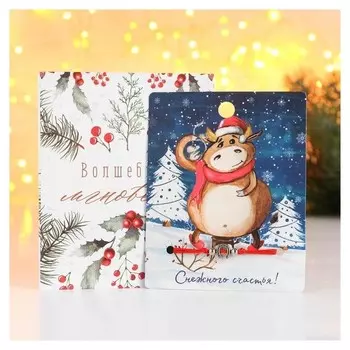 Браслет "Новогодний" снежного стастья, подкова