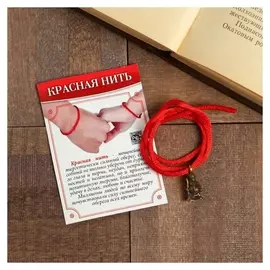 Браслет-оберег "Красная нить" домовой, цвет чернёное золото