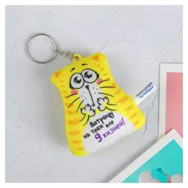 Брелок антистресс "Потрачу на тебя все 9 жизней!" 6*7см